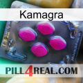 Kamagra 02